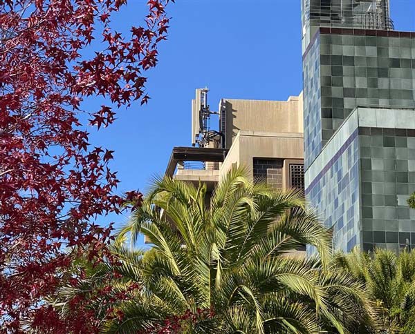 Mosaic in North Carolina